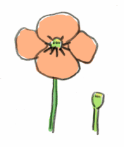 110426_1.gif