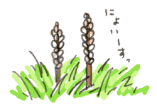 110429_1.gif
