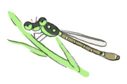 110530_1.gif
