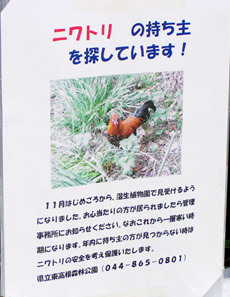 120128_1.jpg