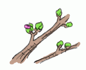 120224_1.gif