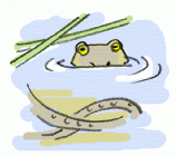 120225_1.gif