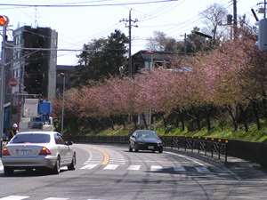 120325_1.jpg