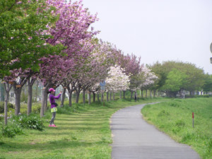120427_1.jpg