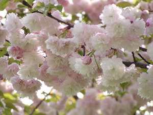 120427_2.jpg