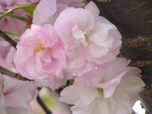 120427_3.jpg