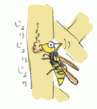 120526_3.gif