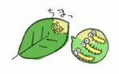 120528_2.gif