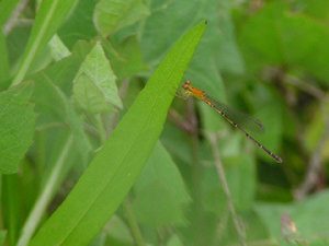 120629_3.jpg