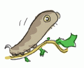 120929_2.gif