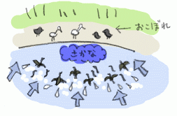 121029_3.gif