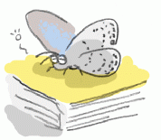 121031_2.gif