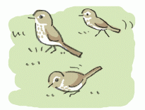 130124_3.gif