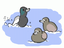 130222_3.gif