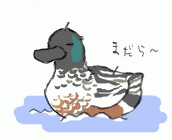 130222_4.gif