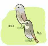 130325_3.gif