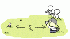 130326_1.gif