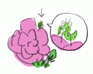130826_1.gif