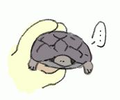 131029_2.gif