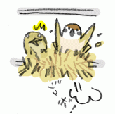 131120_4.gif