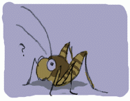 131122_2.gif