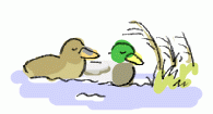 140126_2.gif