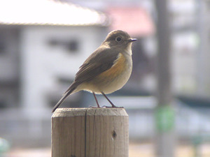 140224_3.jpg