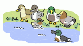 140226_1.gif