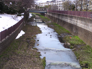 140226_4.jpg