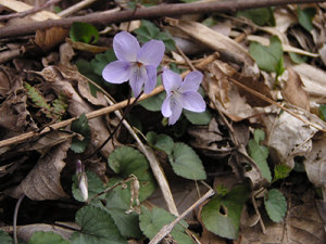 140325_10.jpg