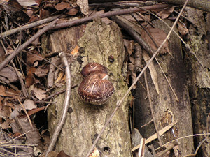 140325_11.jpg