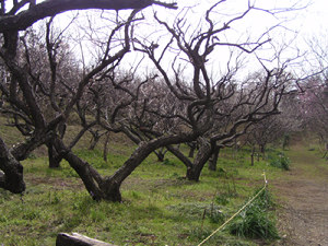 140325_13.jpg