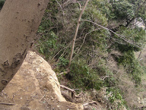 140325_16.jpg