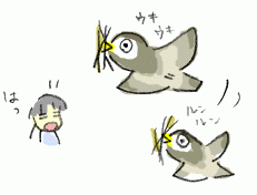 140428_1.gif