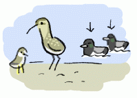 140528_1.gif