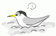 140629_2.gif