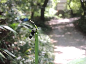 140817_13.jpg