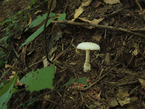 140817_14.jpg