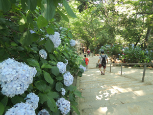 140817_17.jpg