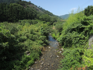 140817_7.jpg