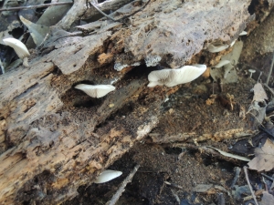 140926_1.jpg