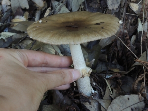 140926_6.jpg