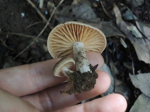 140926_7.jpg