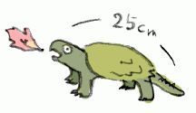 141030_1.gif