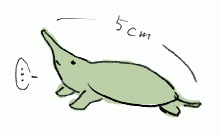 141030_5.gif
