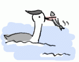 141128_2.gif