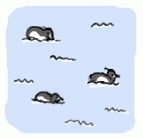 141128_3.gif