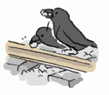141228_2.gif
