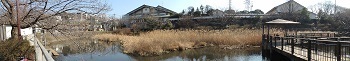150224_5.jpg