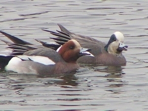 150326_3.jpg
